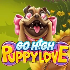 Go High Puppy Love casino game by RubyPlay – featured logo at Allslots Casino